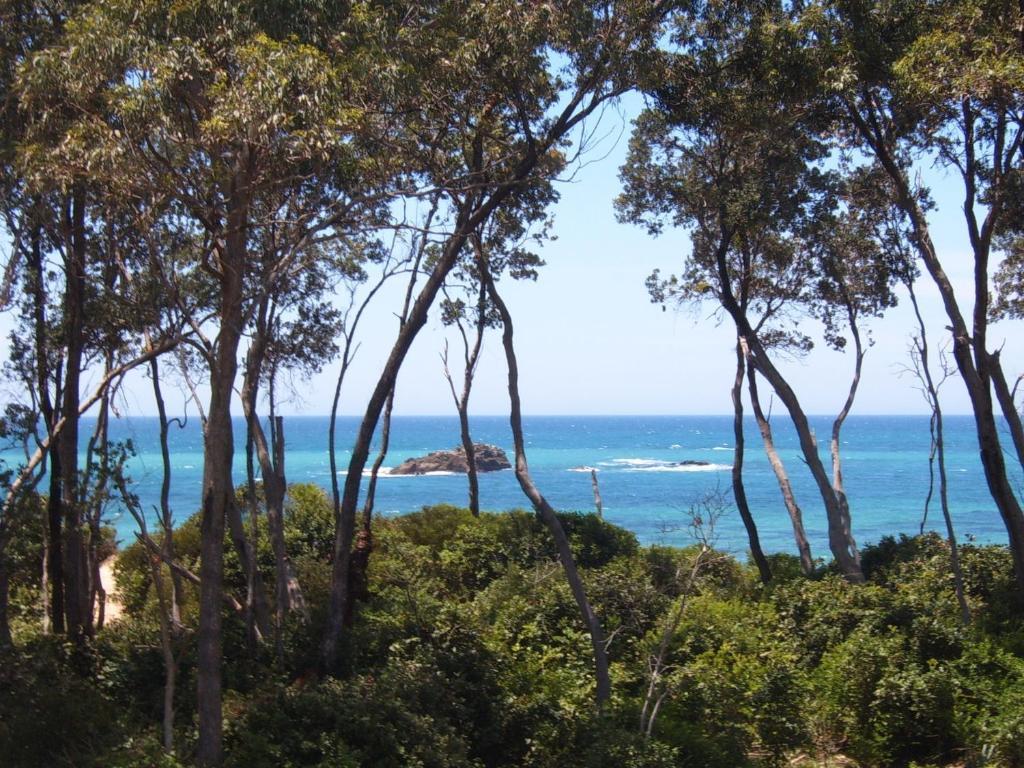 Hotel Smugglers On The Beach Coffs Harbour Exteriér fotografie